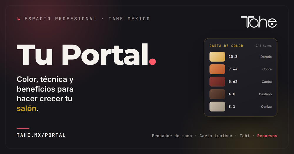 Portal del cliente de Tahe México: color, técnica y beneficios para hacer crecer tu salón